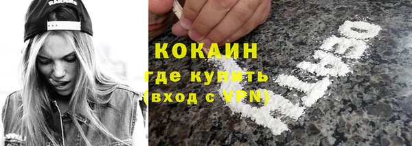 прущие грибы Новокубанск
