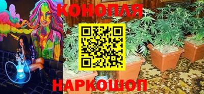 каннабис Гатчина