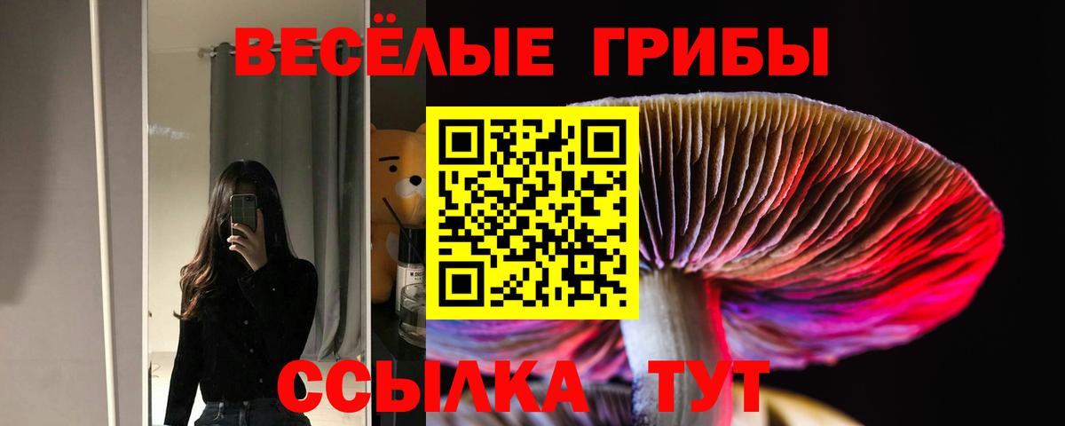 Галлюциногенные грибы мухоморы  купить наркотики сайты  Вход с VPN  Тихвин  Галлюциногенные грибы мицелий 